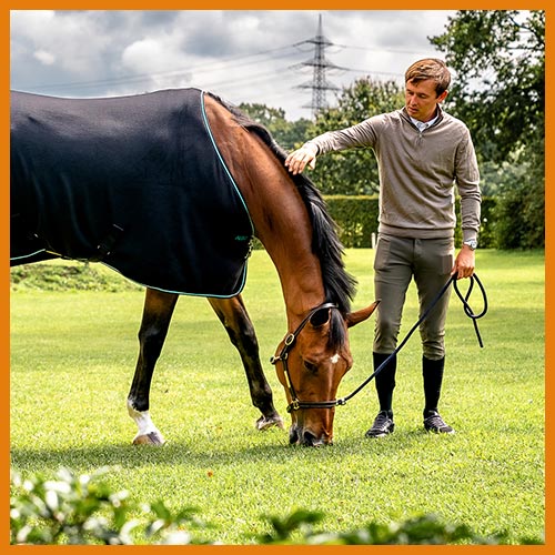 Founder Aloga Equestrian